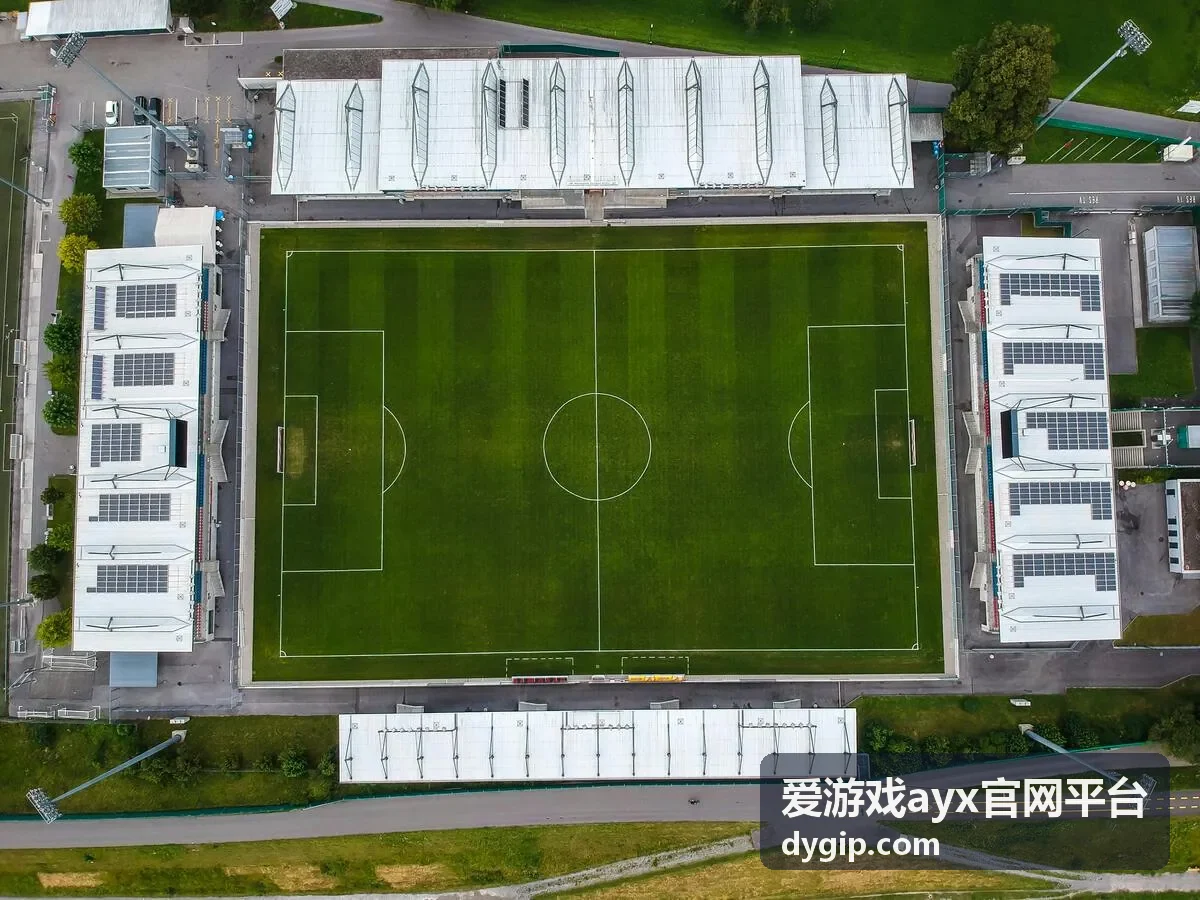 爱游戏ayx官网平台回访与收藏核对示意