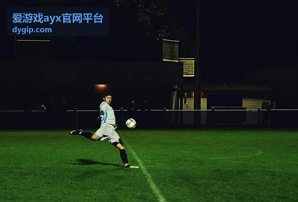 爱游戏ayx官网平台问题跟进记录状态查看
