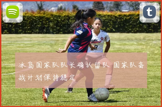 冰岛国家队队长确认留队 国家队备战计划保持稳定