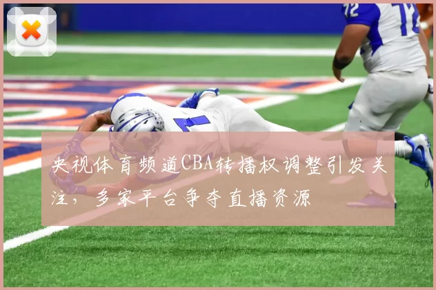 央视体育频道CBA转播权调整引发关注,多家平台争夺直播资源