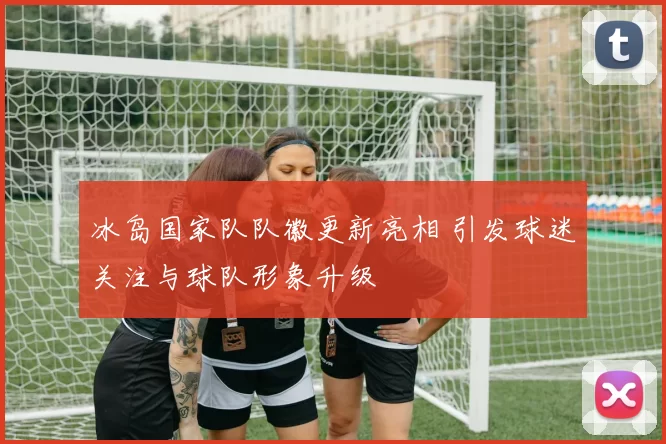 冰岛国家队队徽更新亮相 引发球迷关注与球队形象升级