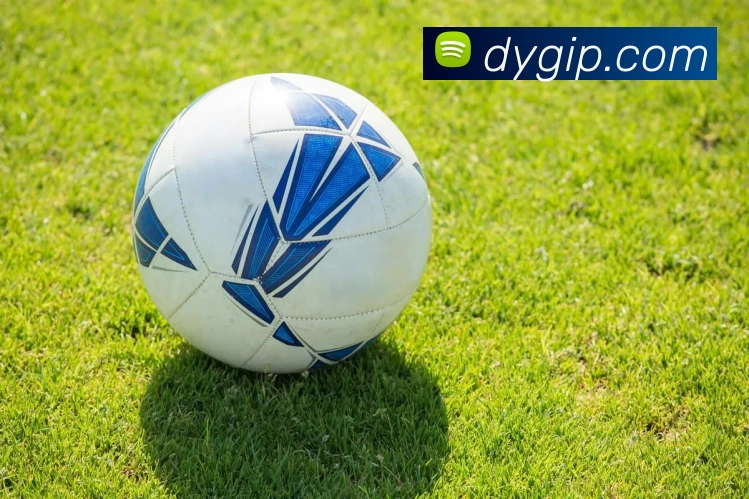 k1官网服务体系